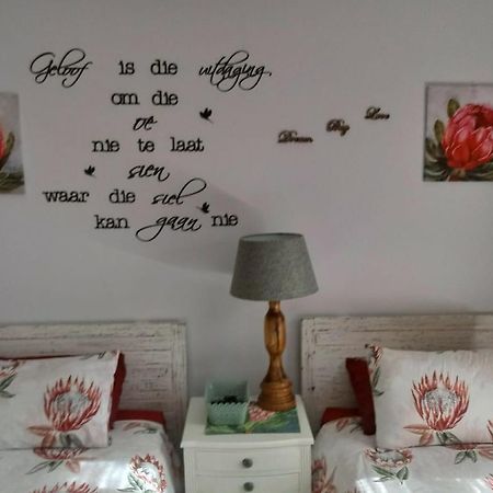 Froggy Bay Is The Best All The Way! Simonʼs Town Exteriör bild