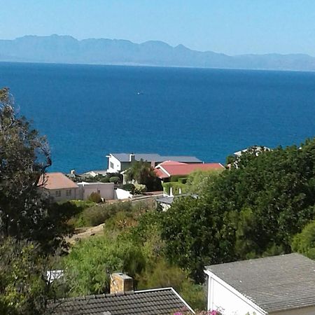 Froggy Bay Is The Best All The Way! Simonʼs Town Exteriör bild