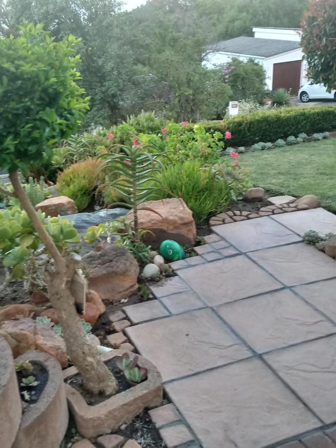 Froggy Bay Is The Best All The Way! Simonʼs Town Exteriör bild