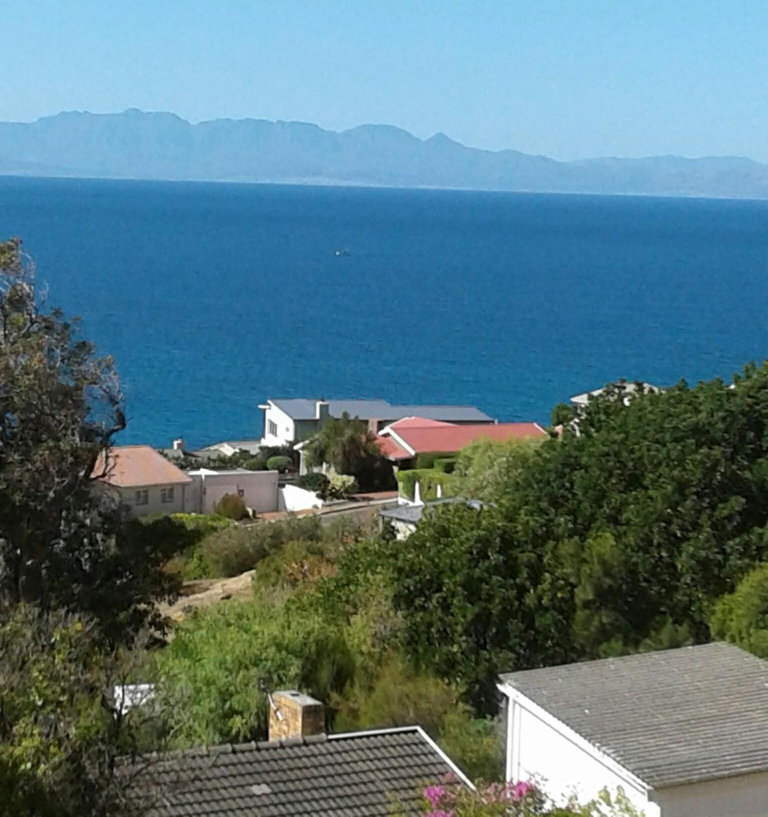 Froggy Bay Is The Best All The Way! Simonʼs Town Exteriör bild