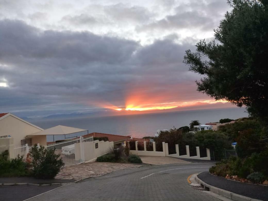 Froggy Bay Is The Best All The Way! Simonʼs Town Exteriör bild